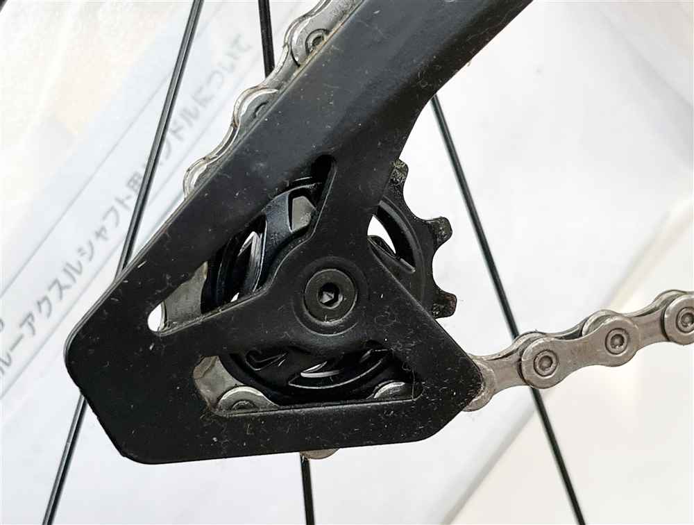 CUEAS�̃v�[���[�y�M�ҎB�e�z