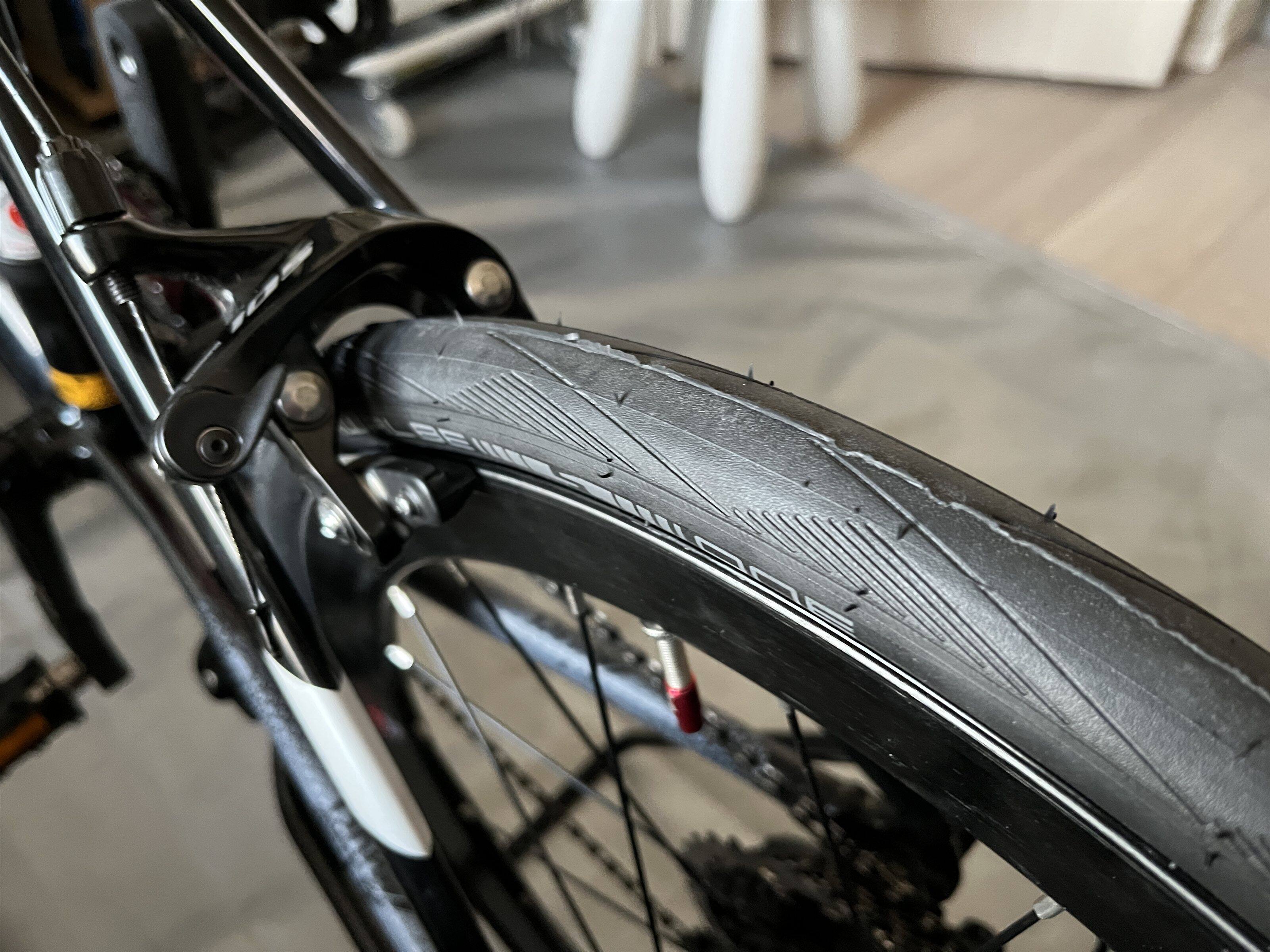 Schwalbe One�v�̓����͑听���y�M�ҎB�e�z