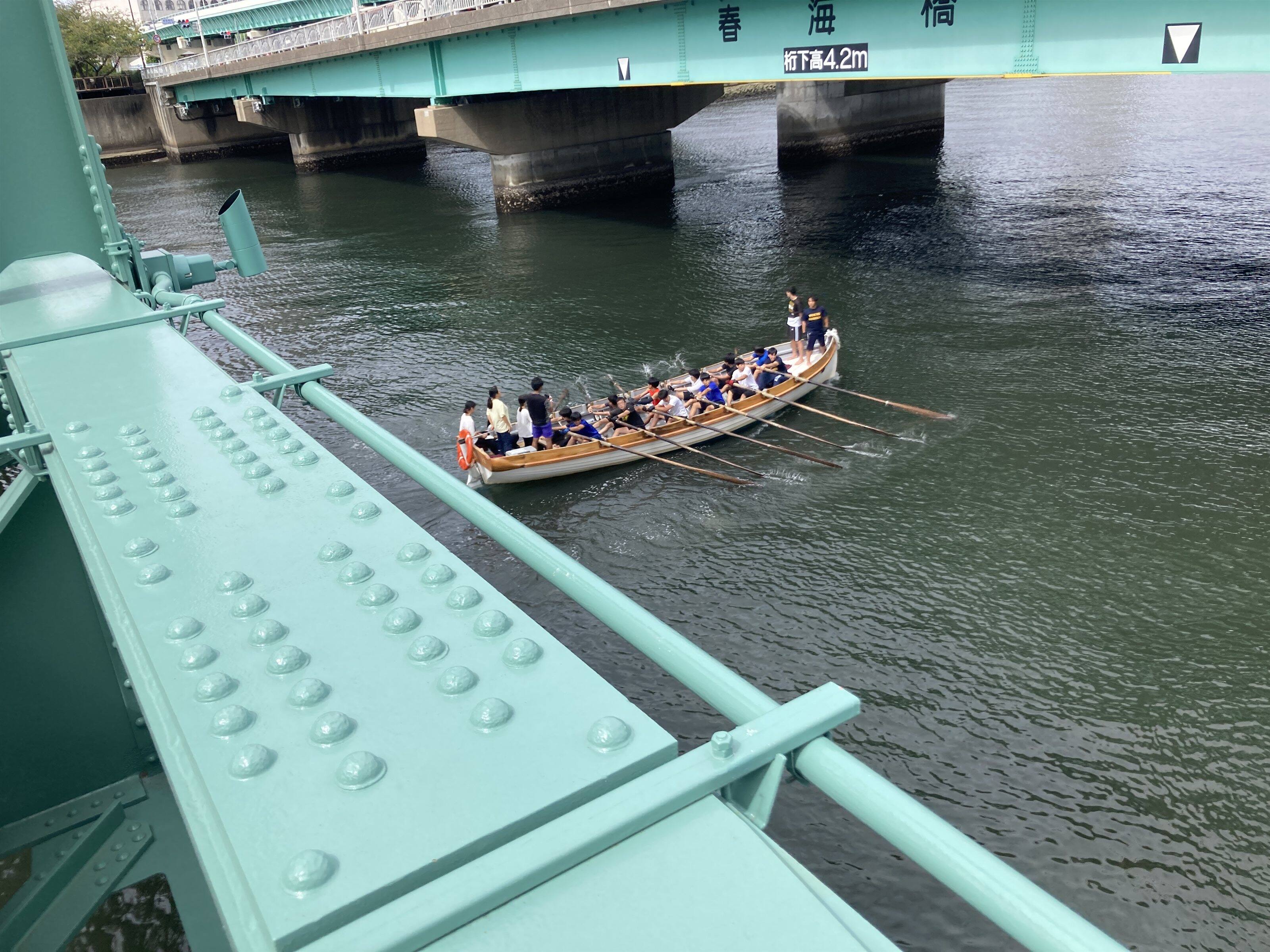 �V����������ʂ���J�b�^�[�y�M�ҎB�e�z