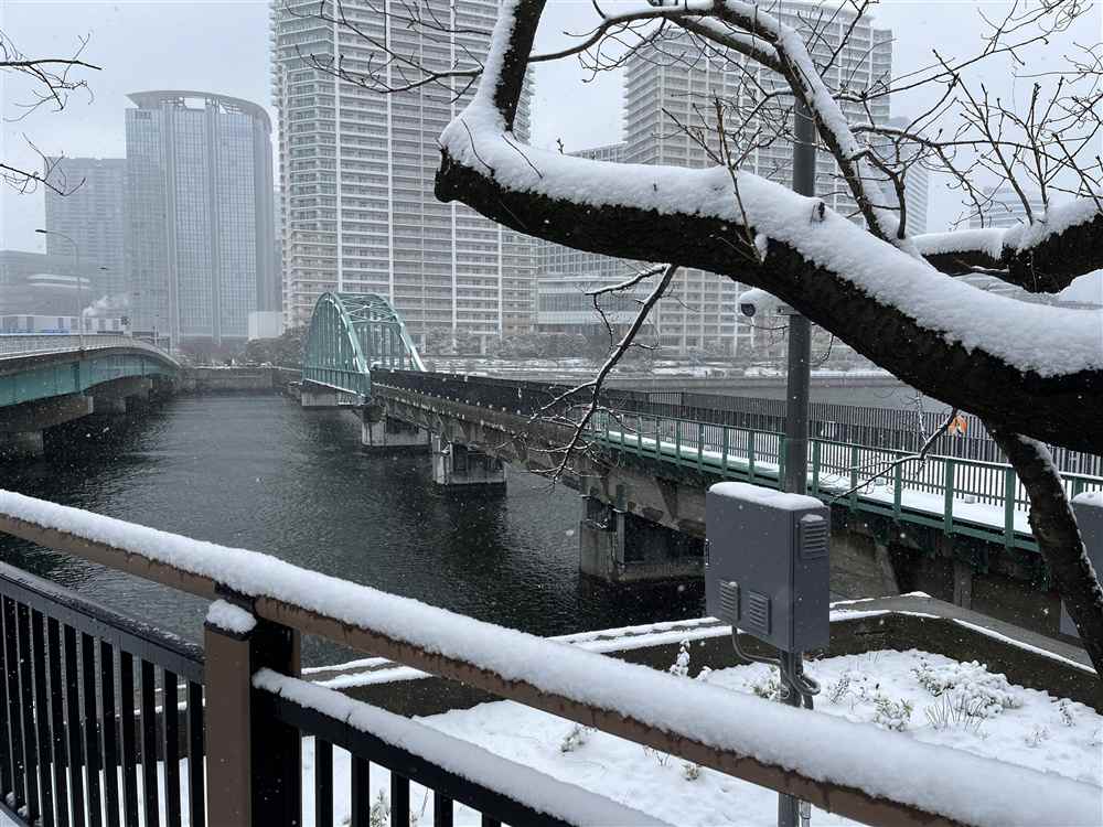 �t�C�S�����y�M�ҎB�e�z