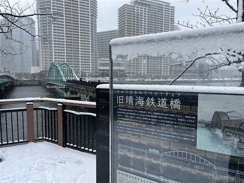 �t�C�S�����y�M�ҎB�e�z