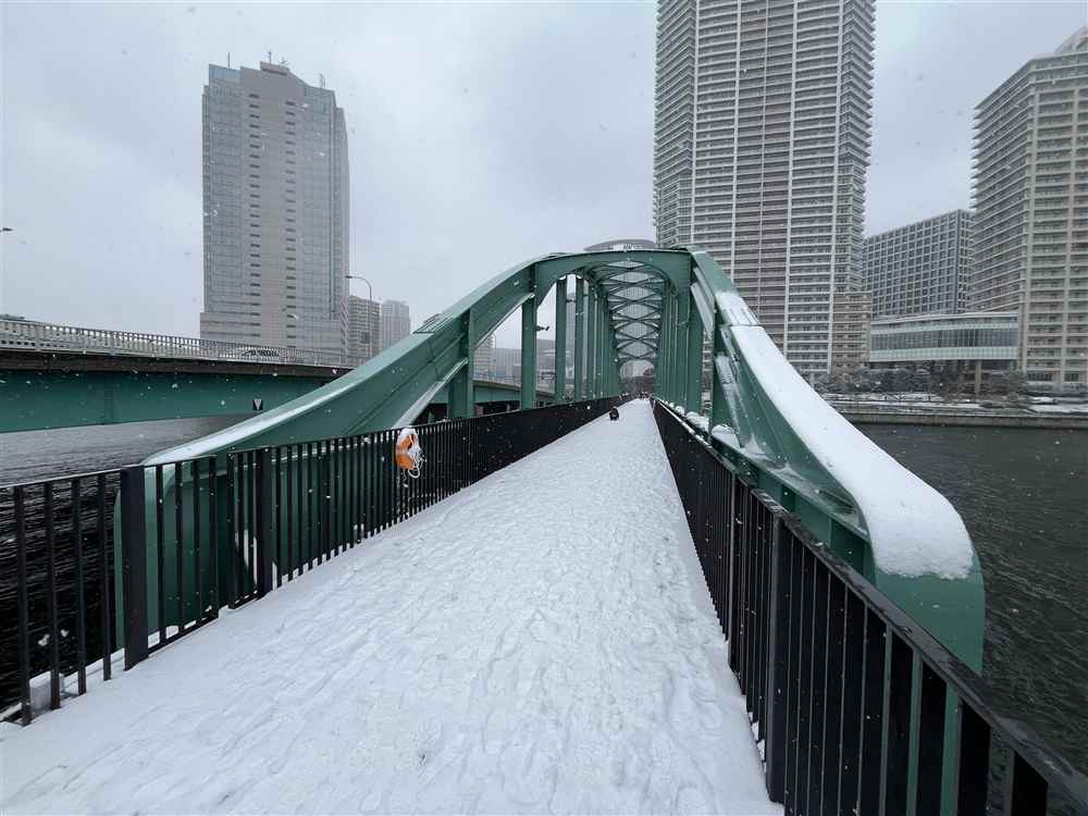 �t�C�S�����y�M�ҎB�e�z