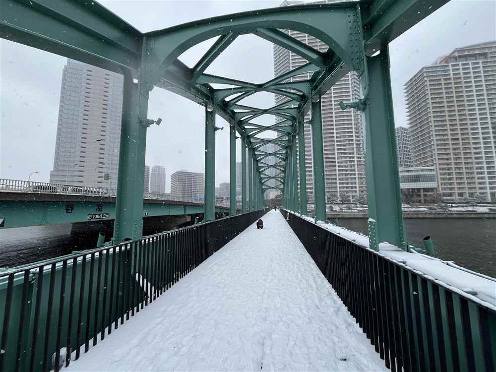 �t�C�S�����y�M�ҎB�e�z