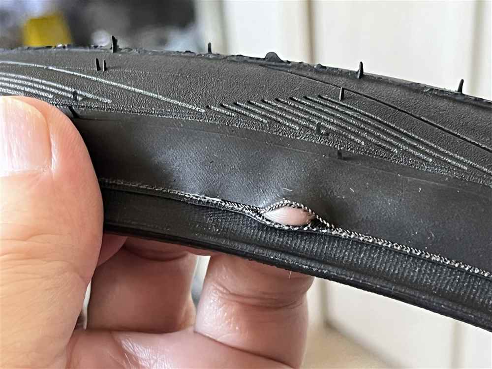 TPUバーストで引き裂かれたシュワルベワン