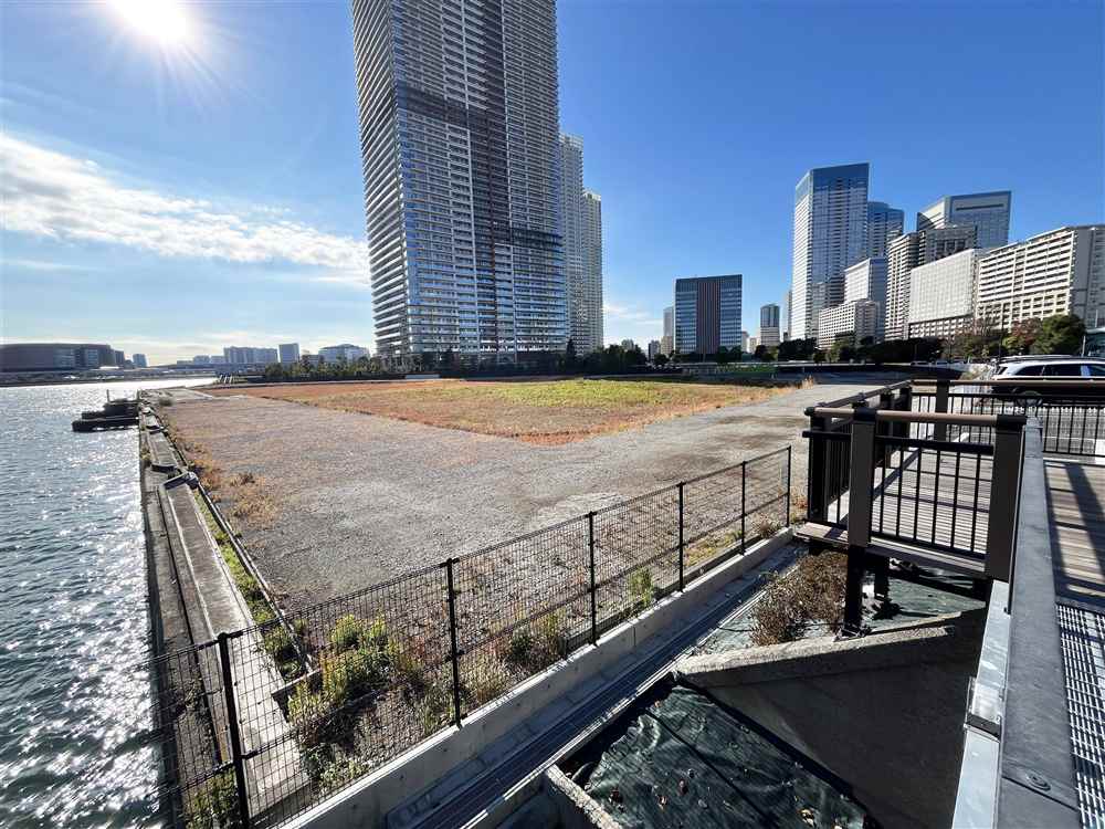 晴海2丁目 再開発エリアの四季彩 未来都市が生まれる風景