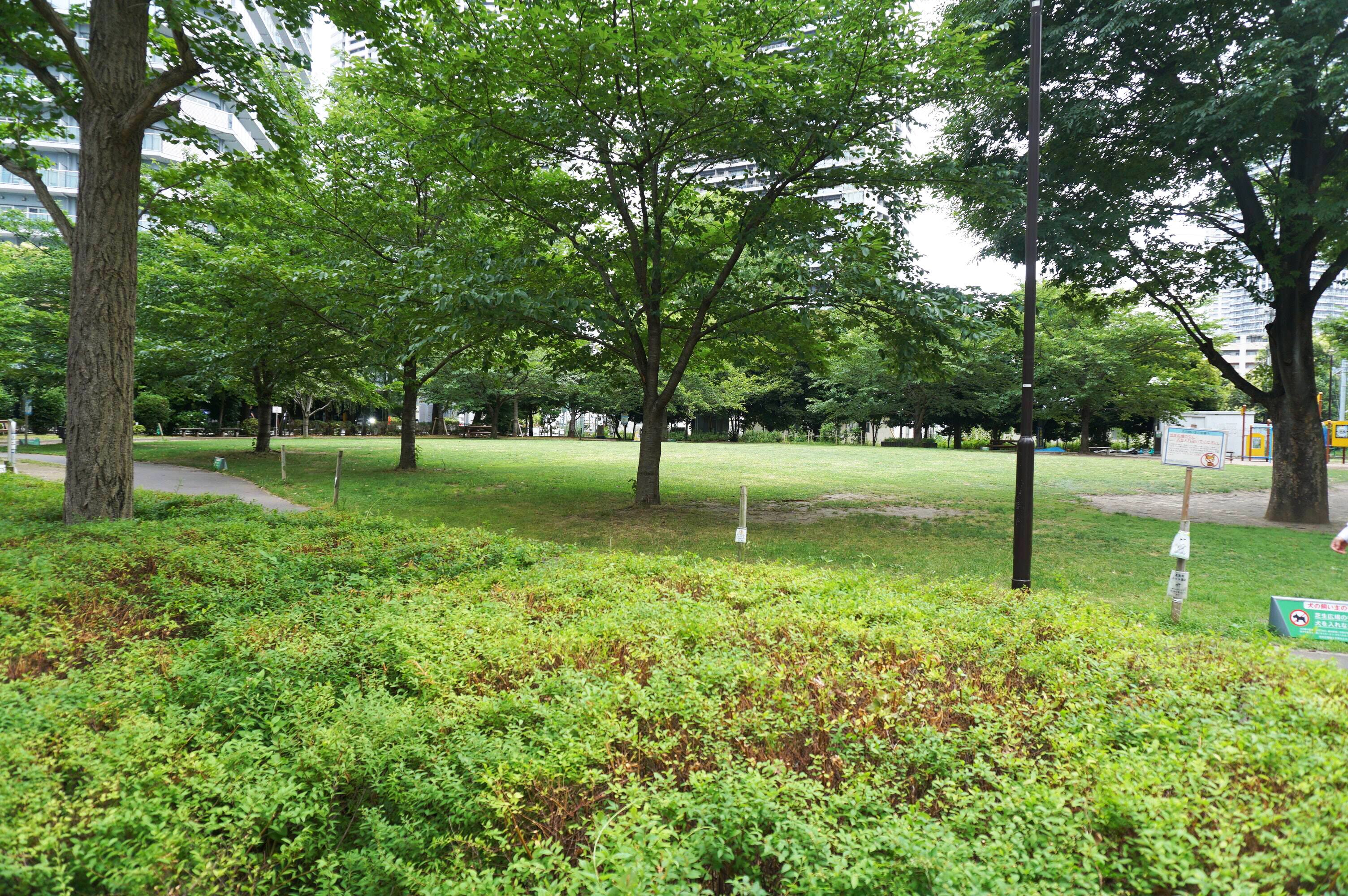 黎明橋公園