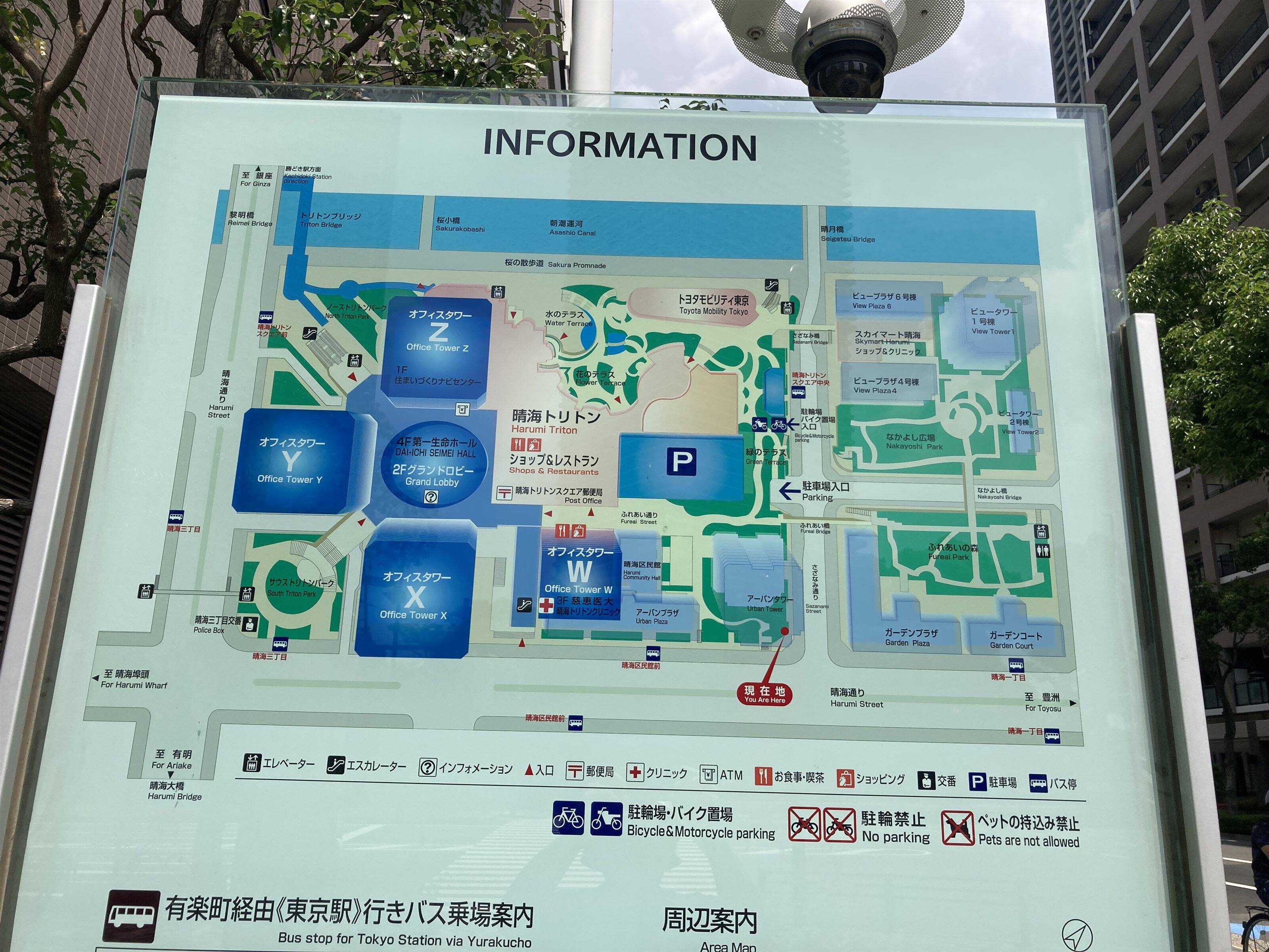 定点観測