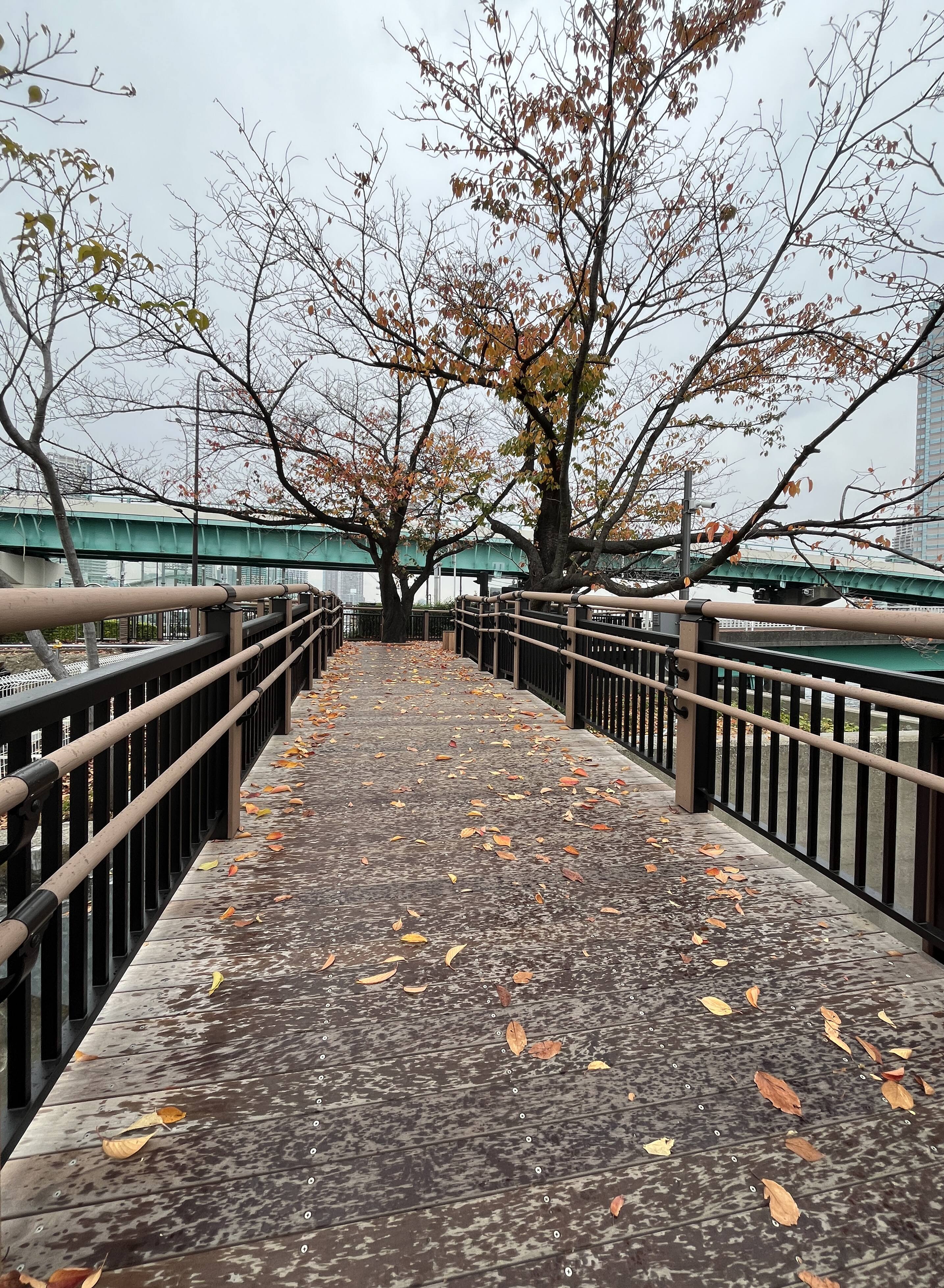 晴海鉄道橋【筆者撮影】