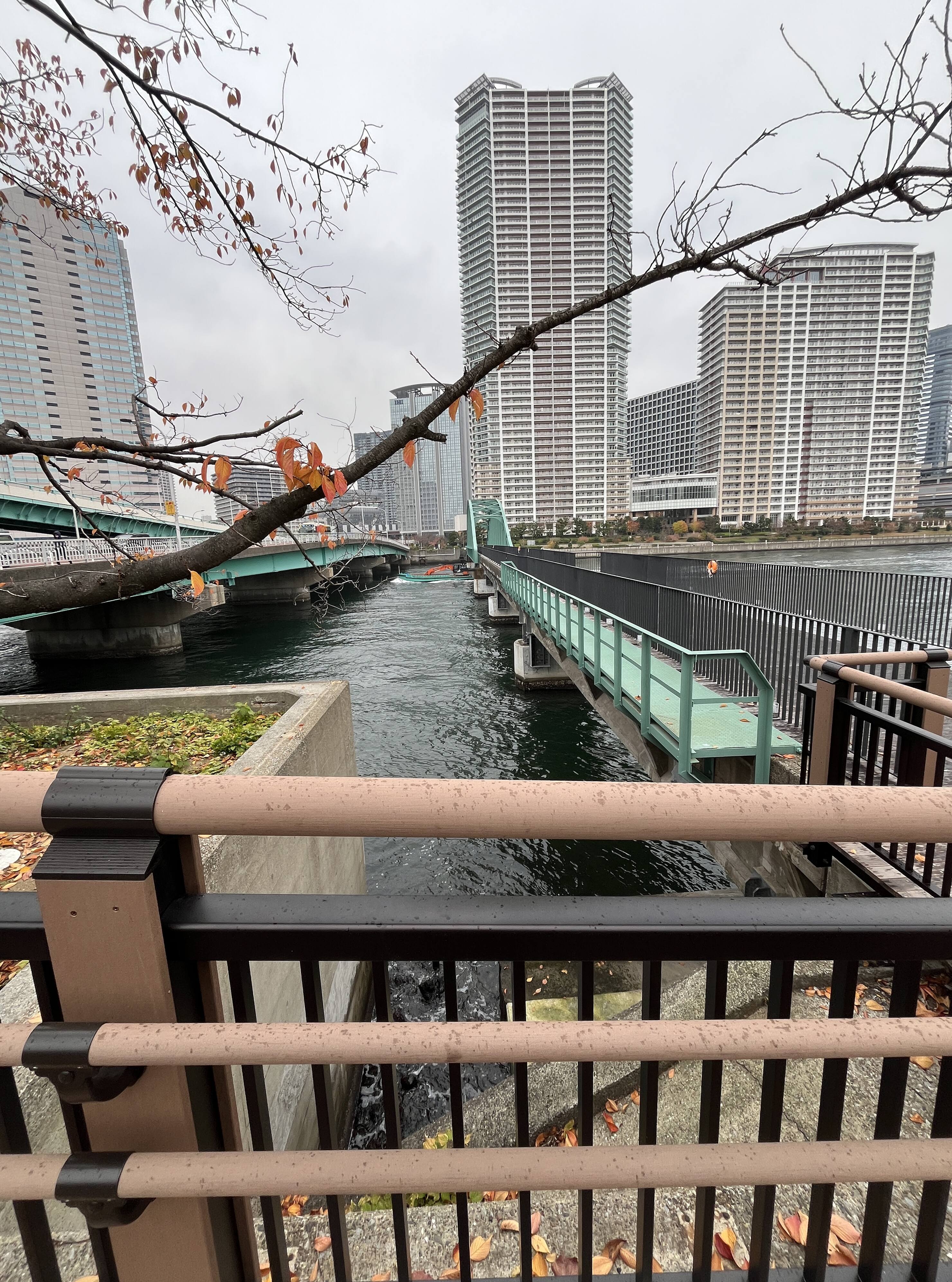 晴海鉄道橋【筆者撮影】