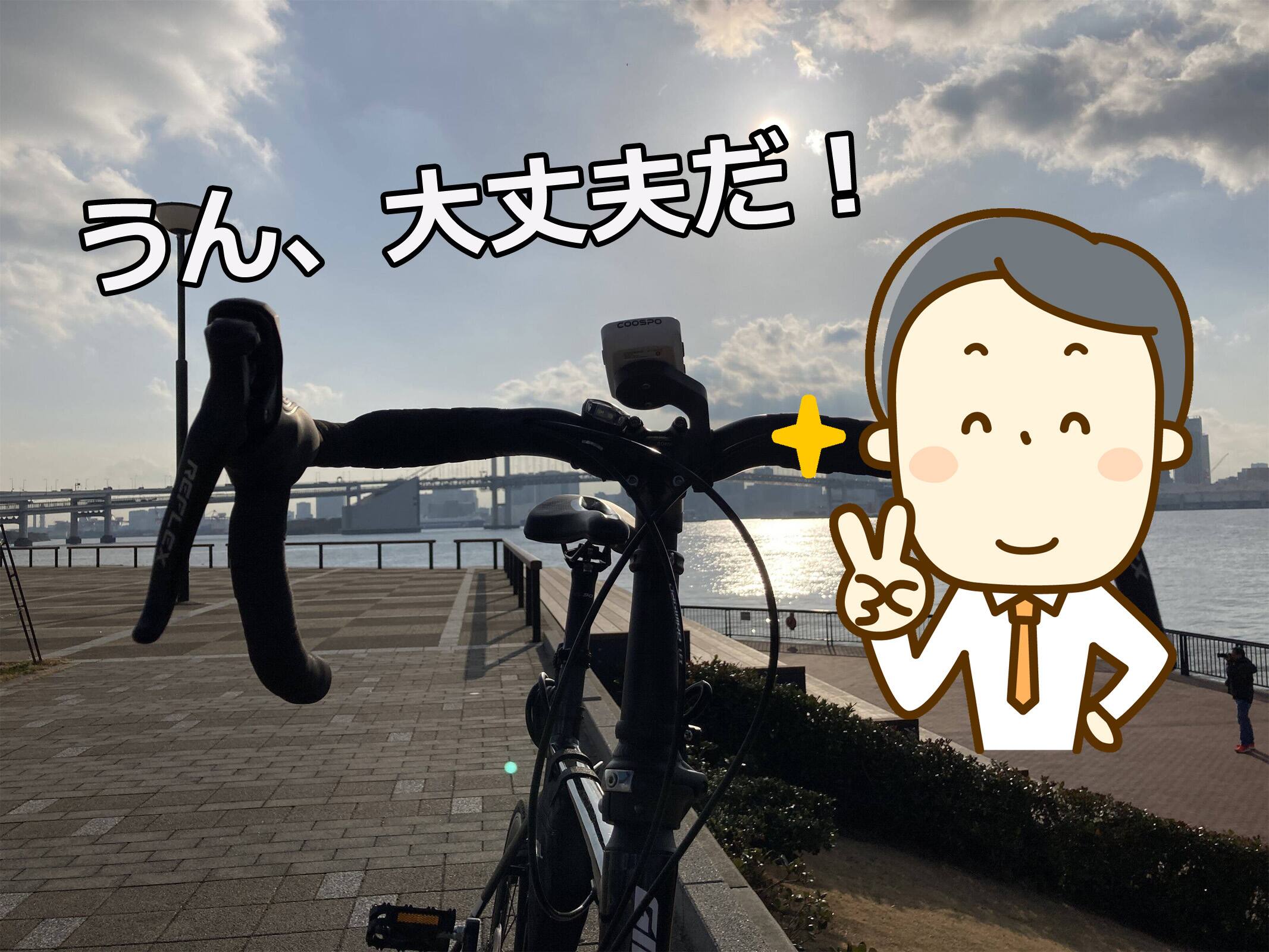 サドルを試走